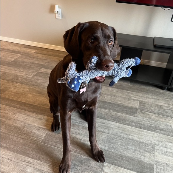 No Theme Share Show TBA - Picture 7 of 7